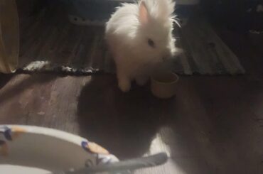 The sassy baby bun morning routine