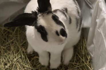 My baby is now 2 years old!