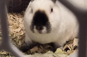 Advicenamingother things