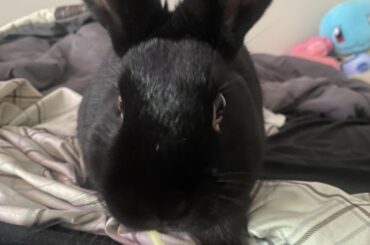 I wish I had more time