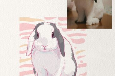 Can I draw your bun? 🌸