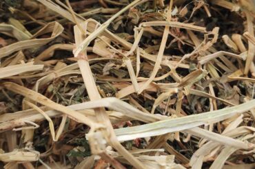 Why do the contents of this pack of Oxbow Alfalfa hay look so weird?