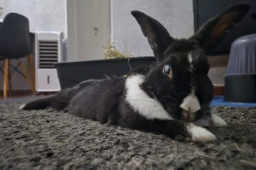 my baby with 9 years ❤️