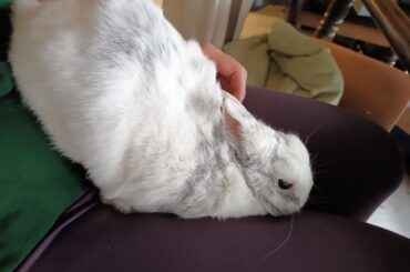 No clue how she's comfy....