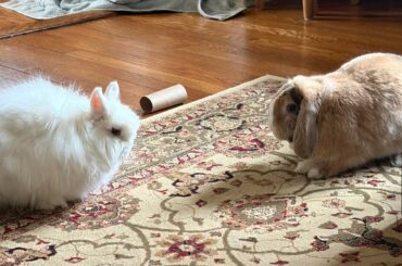 The REAL Heated Rivals