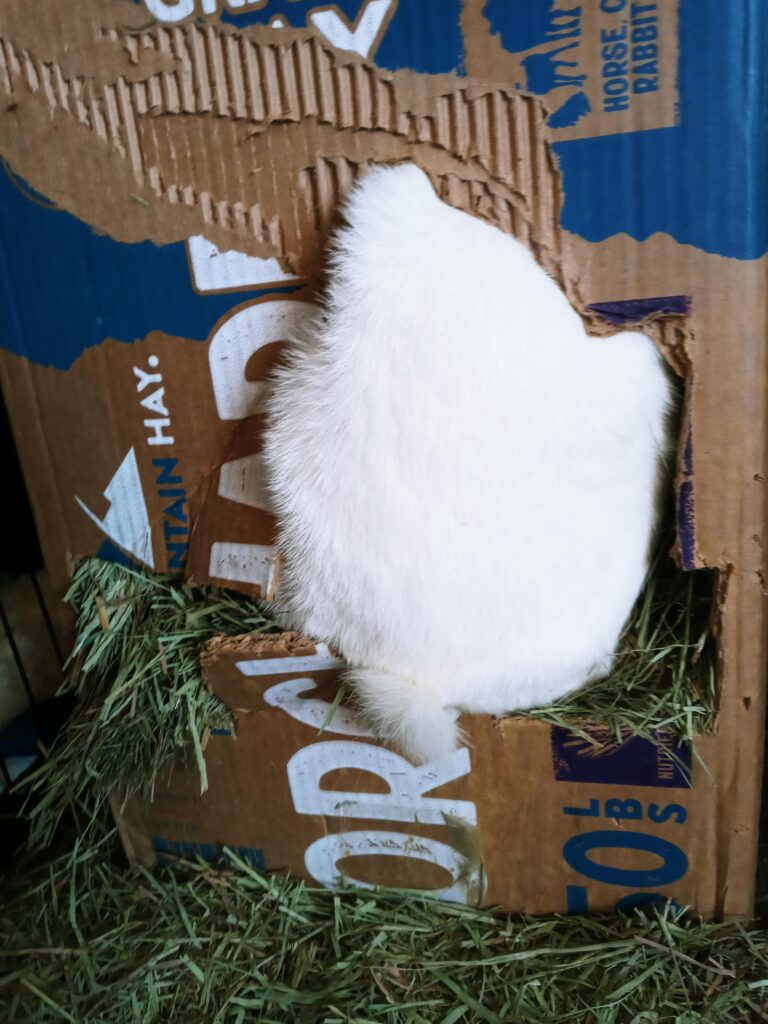 Her preferred method of dining