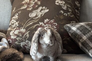 Chewing on everything