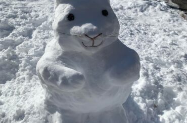 I hope you guys enjoy my snow rabbit! I was inspired after watching my neighbors build their own snowman