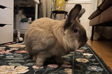 The most absurd thing happened: funny story