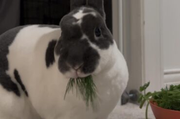 “Do I have something in my teeth?