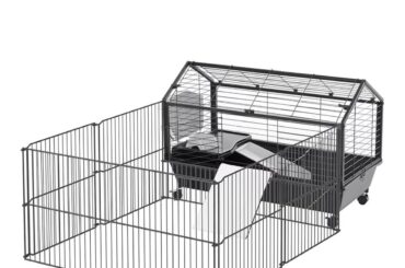 What does your setup look like with other large animals in the home?