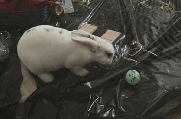 Haiku about my boy (photo because why not?)