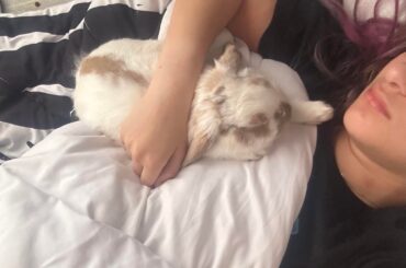 someone woke me up today