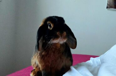 Just woke up to my sleep paralysis demon staring at me and waiting for his breakfast