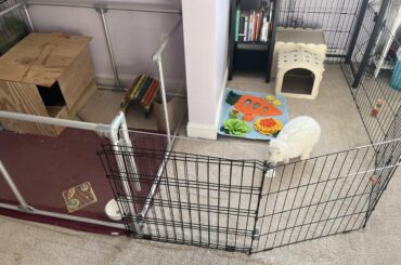 Is this enough space?