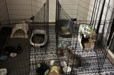 Broken Bond of My Trio and I Don’t Know What to do?