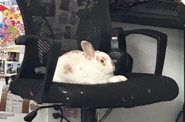 Oh my. How arms are you!