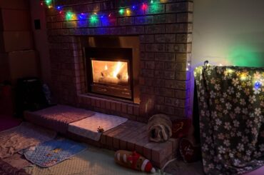 My bun Sailish 🐰🩷