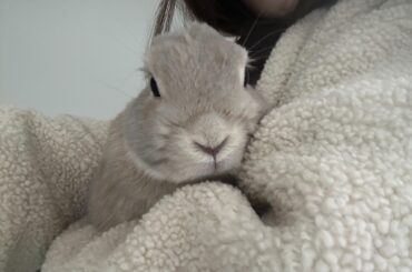 lash, camera, action