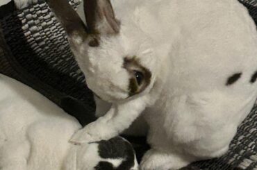 Caption this 🐰💚🐰