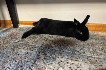 Why he built like that