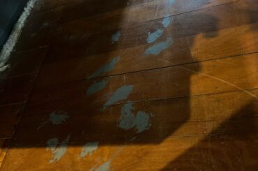 Help! Bun stepped in paint 😅