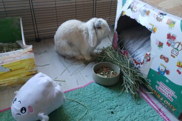 Ghost is still improving ⚘️