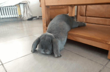 This is why coffee tables exist, right