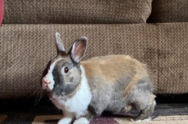 She froze like a deer in headlights when I took her picture 😂