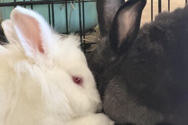 AFTER 2 YEARS THE WAR IS OVERRRR 🥰