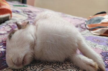 The most notorious pose