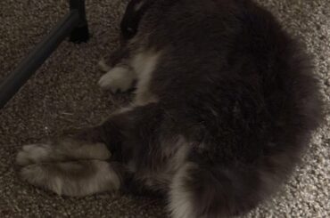 I call this pose, Rocket Tommy.