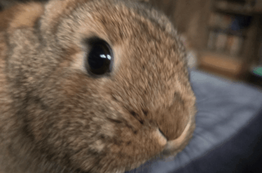 You have my attention!