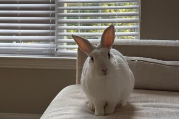 Devastated about my baby passing in surgery