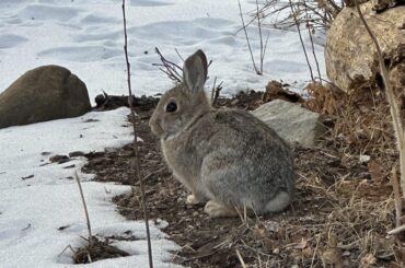 Theo in his domain (OC)