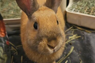 My little creature being cute