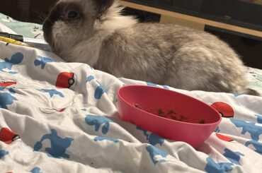 Her favorite thing to do is to lay in bed w me