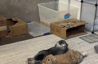 Just toasting my buns