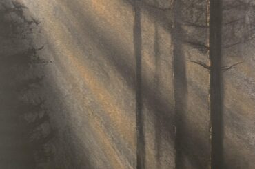 Within the shadows. Original wet charcoal and pastel art by me.