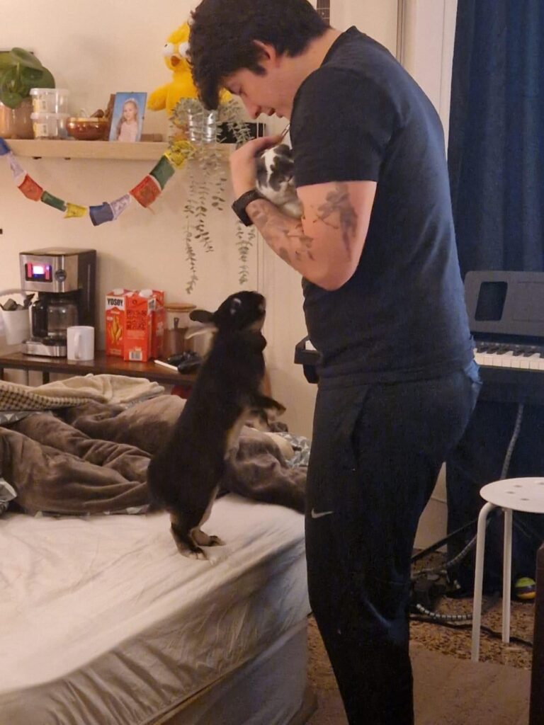 Sušenka meets her new brother Fellini