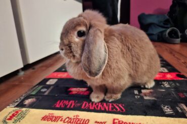 Prrincess and Warrior Queen