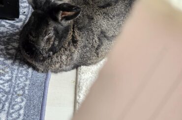 I nap and mum writes