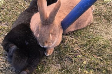 I can't with these two...