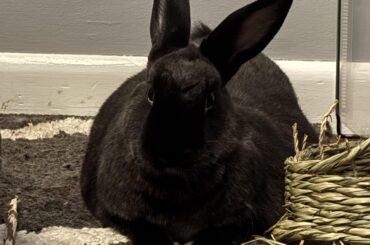 I’ve been expecting you.