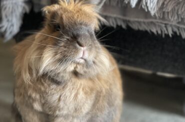 The face of a boy who did not earn his banana