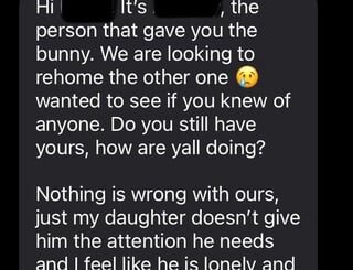 Re-bonding after litter mate syndrome—one year later?