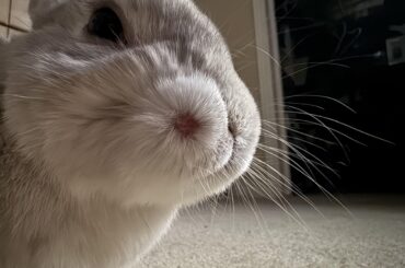 Anyone know what this is.