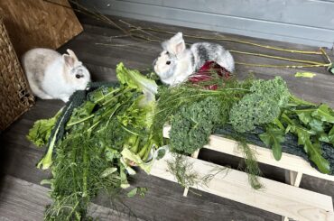 They got a new table 😍😍