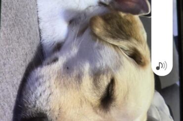 Old picture I'd like to share