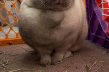 Somebun was very offended…